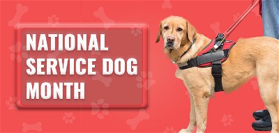September – The National Service Dog Month