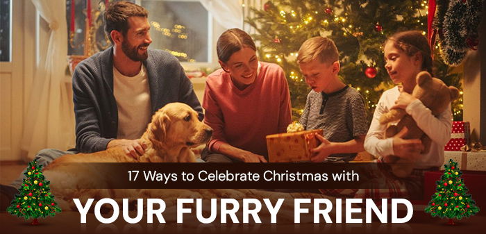 16 Ways to Celebrate Christmas with Your Furry Friend