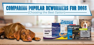 Comparing Popular Dewormers for Dogs: A Guide to Choosing the Best Option