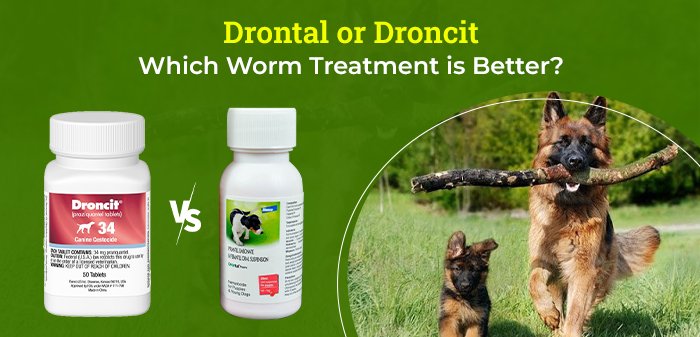 Drontal Puppy Worming Suspension Or Droncit Tapewormer, Which Worm Treatment is Better?