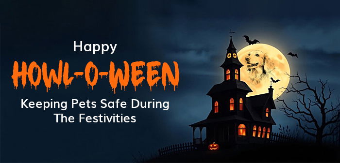 Happy Howl-o-Ween: Keeping Pets Safe During the Festivities