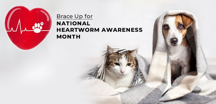 Brace Up for National Heartworm Awareness Month