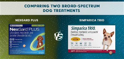 Nexgard Plus Vs. Simparica Trio - Comparing Two Broad-Spectrum Dog Treatments