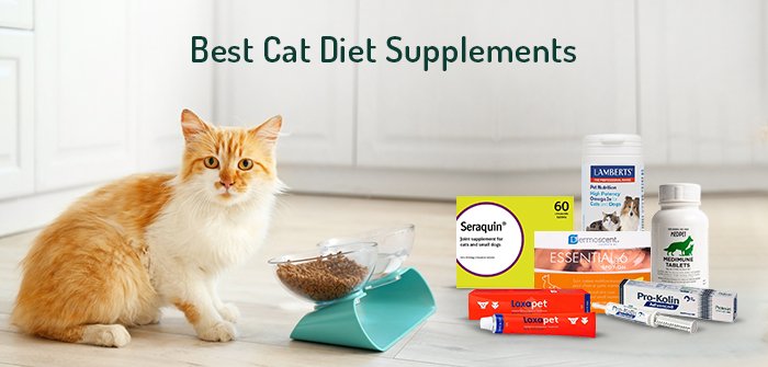Best Cat Vitamins & Supplements (Vet's 1st Choice)