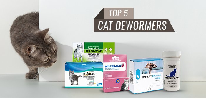 What are the Best dewormers for Cats?