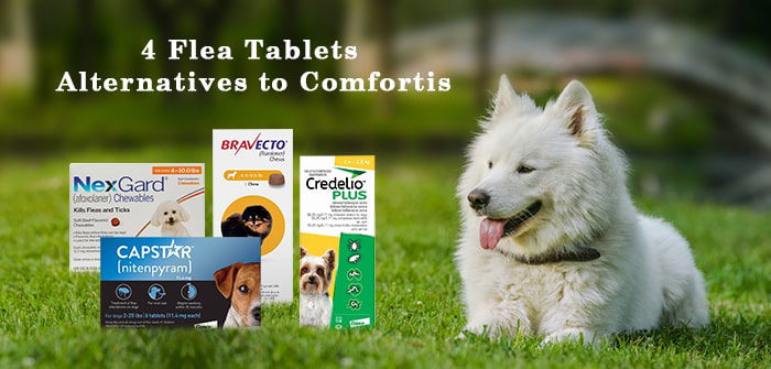 What is the best over the outlet counter flea and tick medicine for dogs