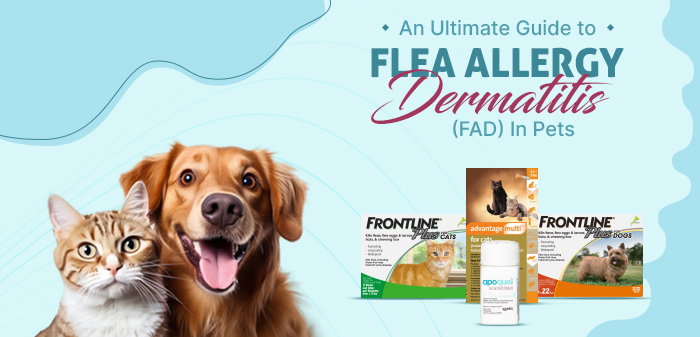 An Ultimate Guide to Flea Allergy Dermatitis (FAD) In Pets