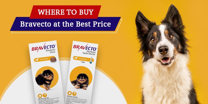 Where to Buy Bravecto for Dog at the Best Price?