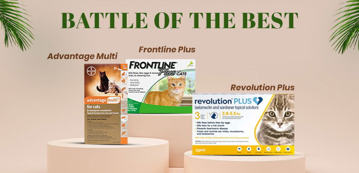 Advantage Multi vs. Frontline Plus vs. Revolution Plus: Ideal Parasite Protection for Cats