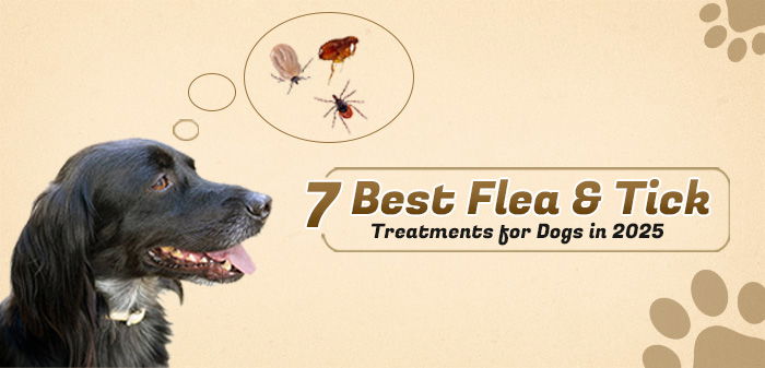 7 Best Flea &amp; Tick Treatments for Dogs in 2025