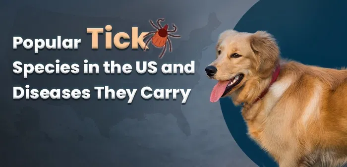 Type of Tick Species and Diseases They Carry