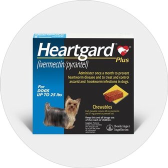 heartgard-plus-chewables-small-dogs-up-to-25lbs-blue