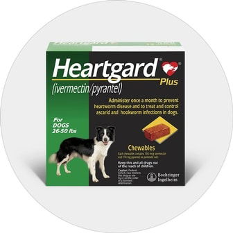 Heartgard plus hotsell k9 advantix