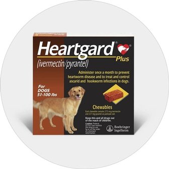 heartgard-plus-chewables-for-large-dog-51-100lbs-brown
