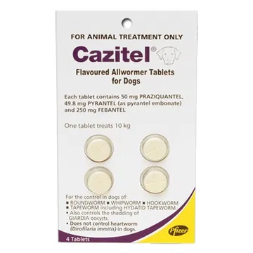 Cazitel Flavoured Allwormer