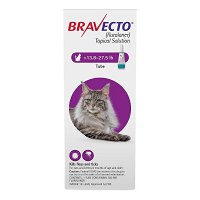 Bravecto Spot-On for Large Cats 13.8 lbs - 27.5 lbs (Purple)