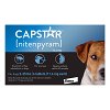 Capstar Blue for Small Dogs 2 - 25 lbs