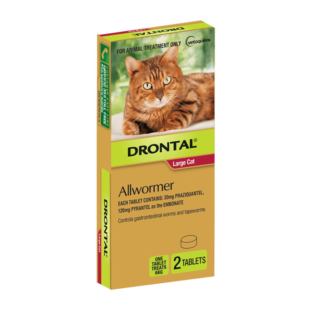 Bayer Drontal Broad-spectrum Dewormer | Cat & Kittens Dewormer Tablets ...