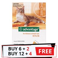 Advantage Kittens & Small Cats 1-9lbs