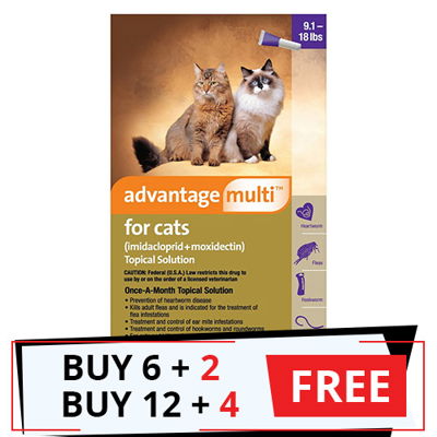Advantage Multi (Advocate) Cats over 10lbs (Purple)