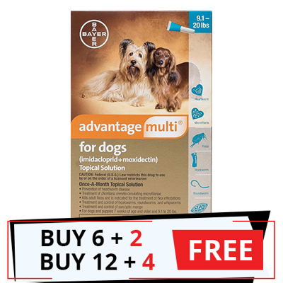 Advantage Multi (Advocate) Medium Dogs 9.1-20 lbs (Aqua)