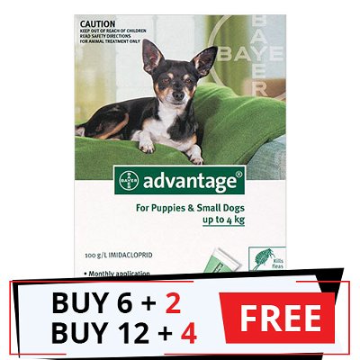 Advantage Small Dogs/ Pups 1-10lbs (Green) 