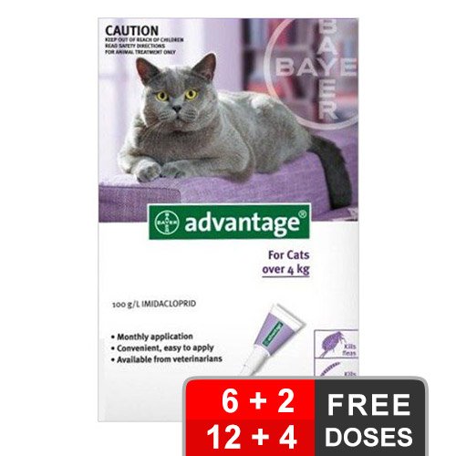 Advantage Cats Over 9lbs (Purple)