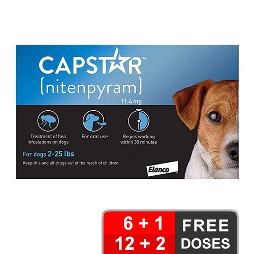 Capstar for Dogs