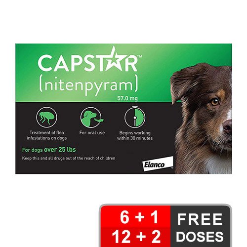 Capstar Green for Dogs 25.1 - 125 lbs