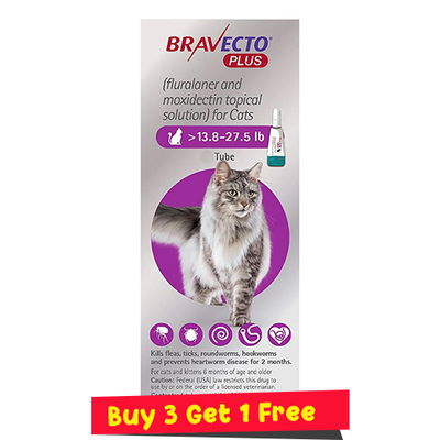 Bravecto Plus for Large Cats 500 mg (13.75 to 27.5 lbs) Purple