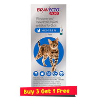 Bravecto Plus for Medium Cats 250 mg (6.2 to 13.75 lbs) Blue