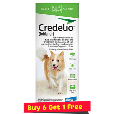 Credelio for Dogs 25 to 50 lbs (450mg) Green