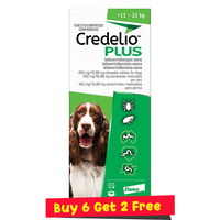 Credelio Plus For Large Dog 11-22kg (Green)