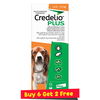 Credelio Plus For Medium Dog 5.5-11kg (Orange)