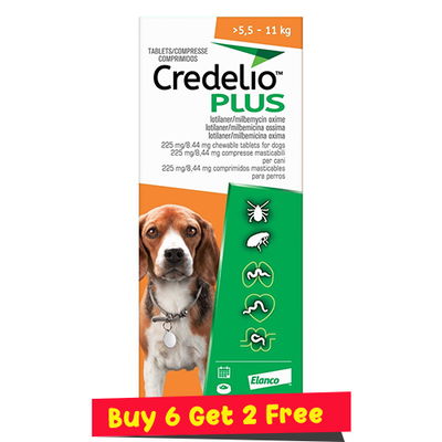 Credelio Plus For Medium Dog 5.5-11kg (Orange)