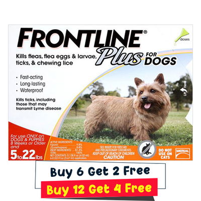 Frontline Plus for Small Dogs up to 22lbs (Orange)