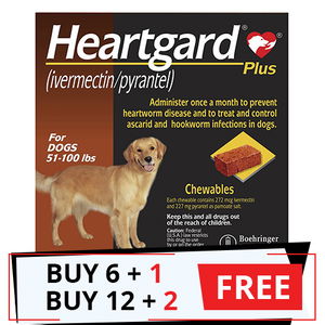 do older dogs need heartworm medicine