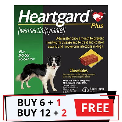 Heartgard Plus Chewables for Medium Dogs 26-50lbs (Green)