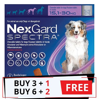 Nexgard Spectra Tab Large Dog 33-66 lbs Purple