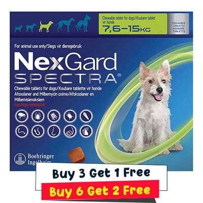 Nexgard Spectra Tab Medium Dog 16.5-33 lbs Green