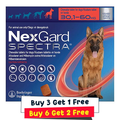 Nexgard Spectra Tab Xlarge Dog 66-132 lbs Red