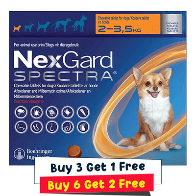 Nexgard Spectra Tab XSmall Dog 4.4-7.7 lbs Orange