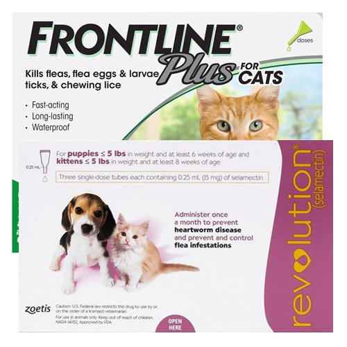 Frontline Plus Cats & Revolution Cats Combo