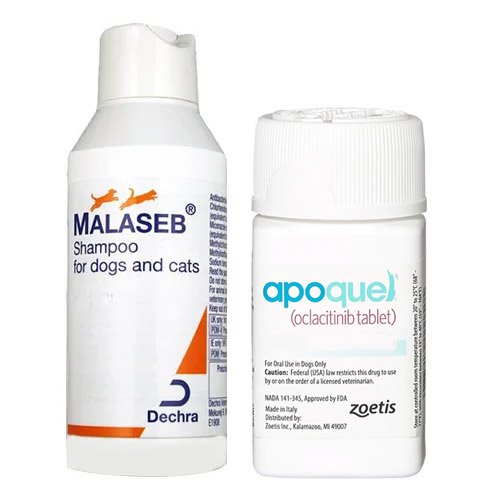 Malaseb Shampoo & Apoquel Combo