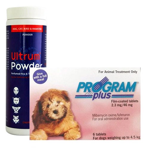 Ultrum Powder & Program Plus Combo