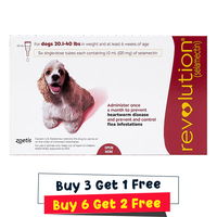 Revolution for Medium Dogs 20.1-40lbs (Red)