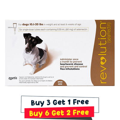 Revolution for Small Dogs 10.1 - 20lbs (Brown)