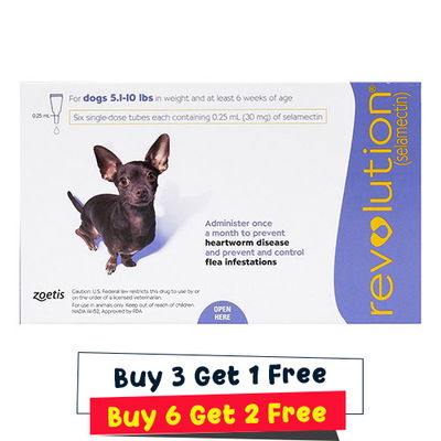 Revolution for Very Small Dogs 5.1-10 lbs (Purple)