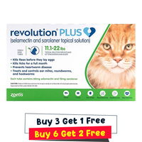 Revolution Plus for Large Cats 11-24lbs (5-10Kg) Green