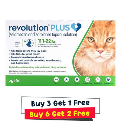 Revolution Plus for Large Cats 11-24lbs (5-10Kg) Green